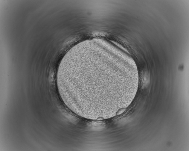 X0000097290619200803071733