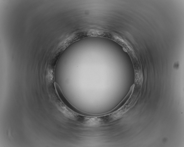 X0000097290621200803071733
