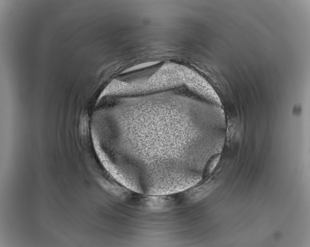 X0000097290623200803071733
