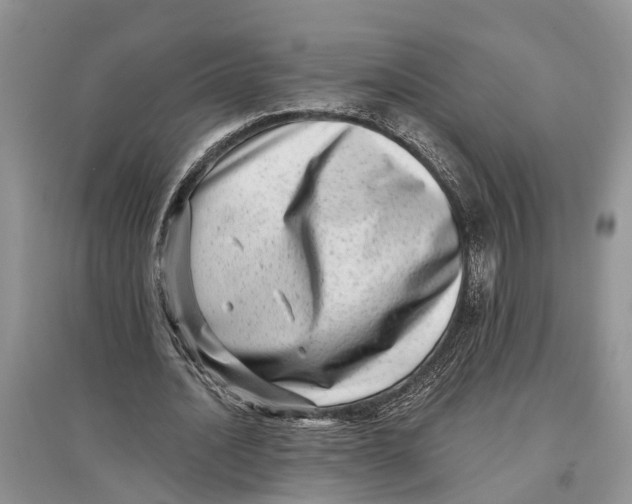 X0000097290628200803071732