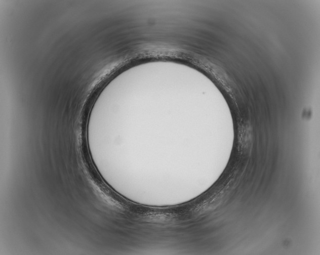 X0000097290629200803071732