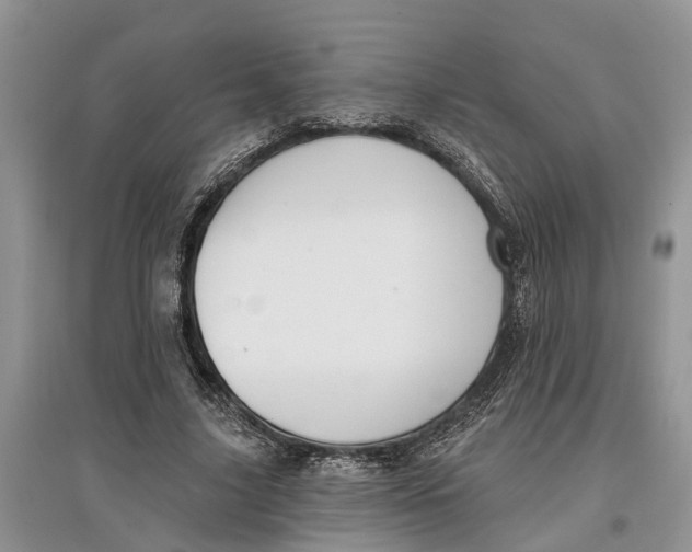 X0000097290635200803071732