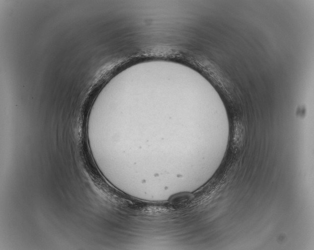 X0000097290636200803071732