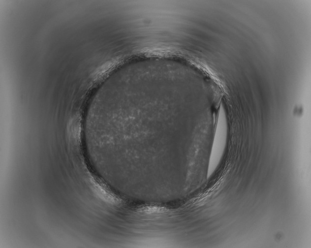 X0000097290637200803071733