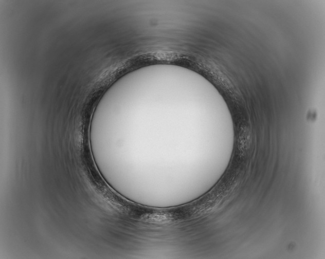 X0000097290639200803071733
