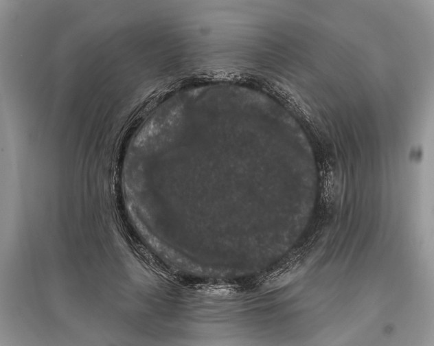 X0000097290643200803071733