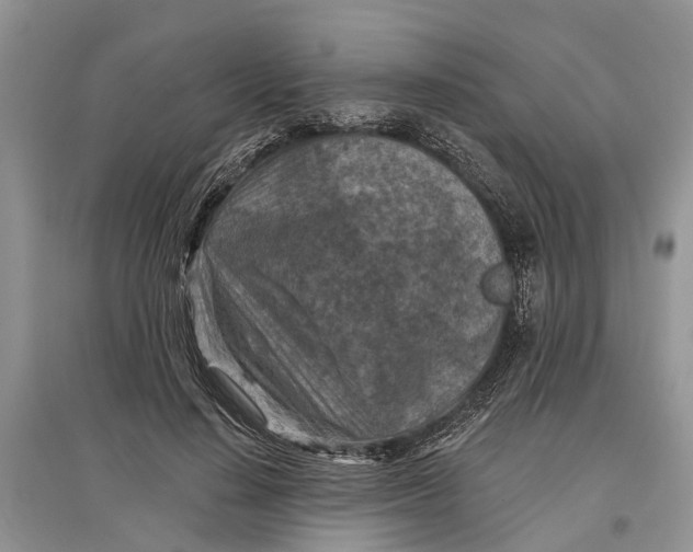 X0000097290644200803071733