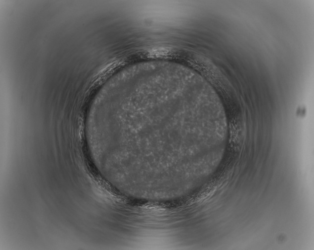 X0000097290648200803071733