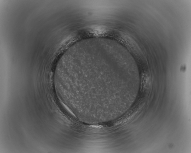 X0000097290650200803071733