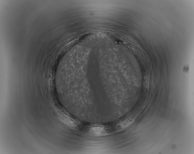 X0000097290653200803071733