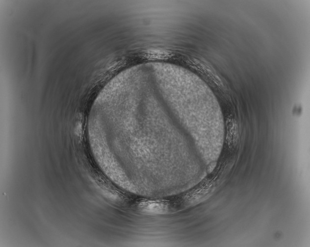 X0000097290655200803071733