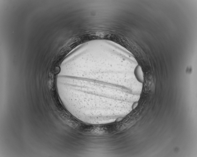 X0000097290656200803071733