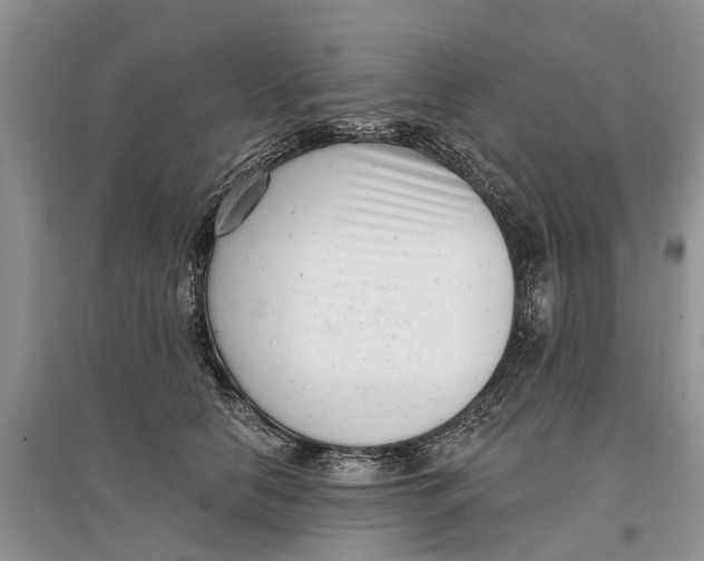 X0000097290658200803071733