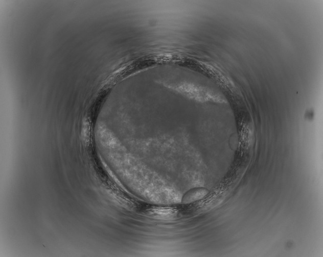 X0000097290659200803071733