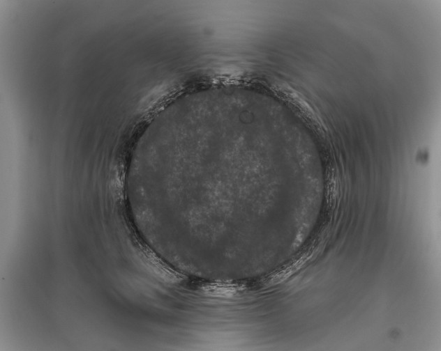 X0000097290661200803071733