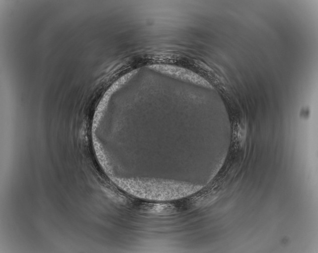 X0000097290663200803071733