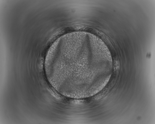 X0000097290664200803071733