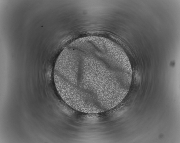 X0000097290668200803071733