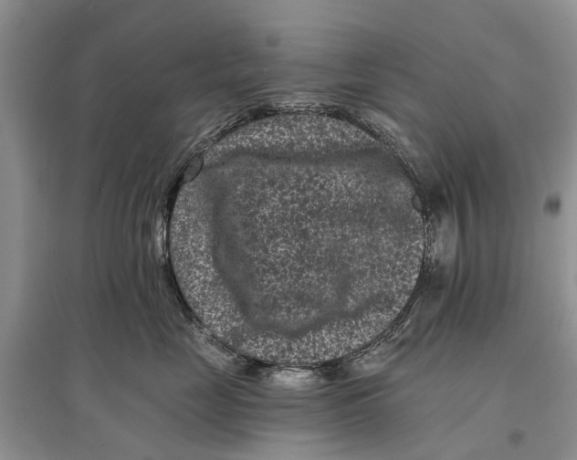 X0000097290669200803071733