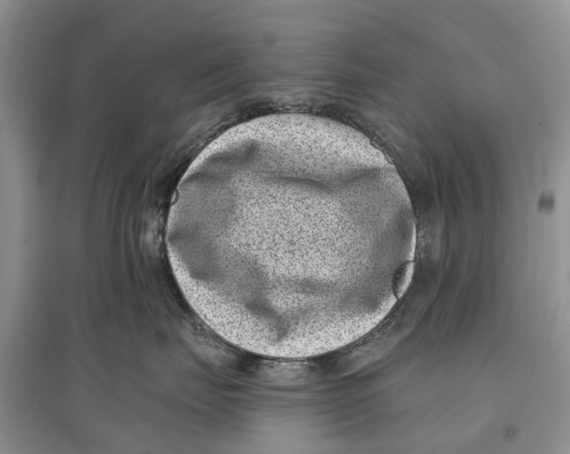 X0000097290671200803071733