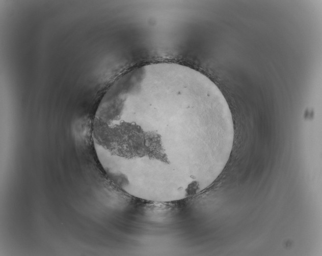 X0000097290672200803071733