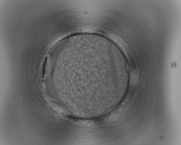 X0000097290673200803071732