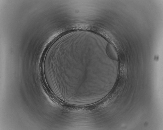 X0000097290674200803071732