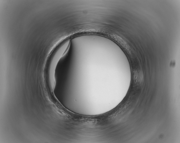 X0000097290676200803071732