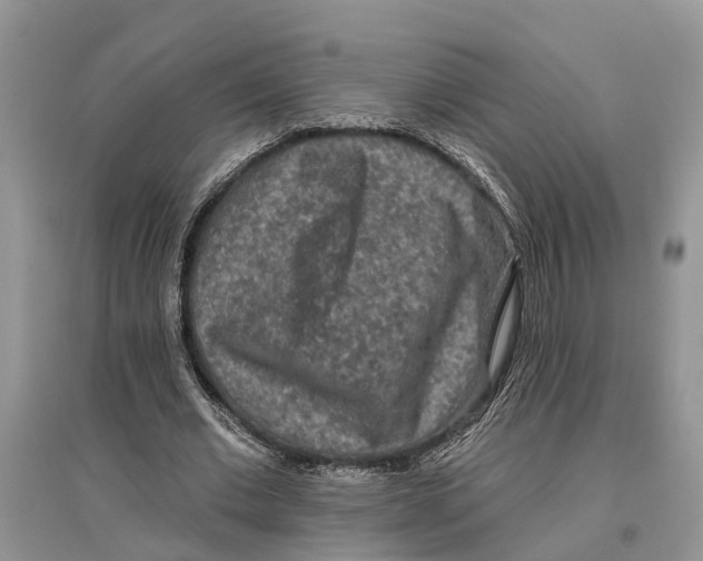 X0000097290677200803071732