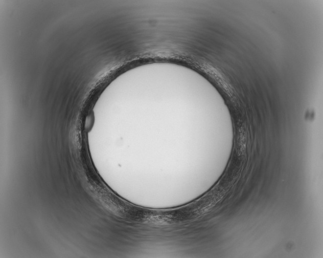 X0000097290680200803071732