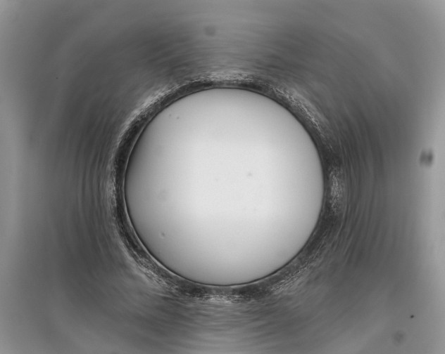 X0000097290684200803071732