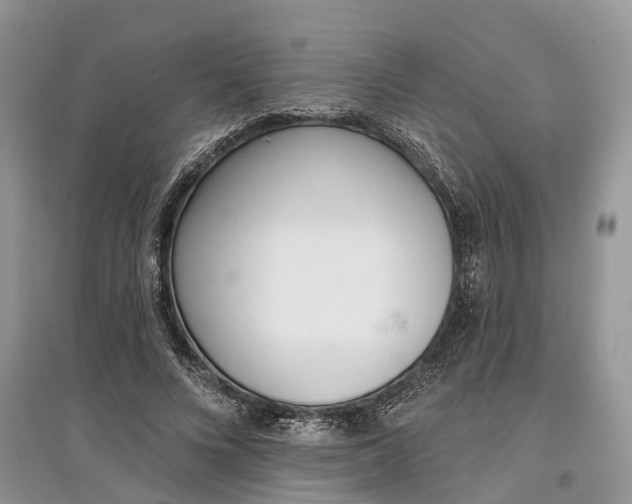 X0000097290688200803071732