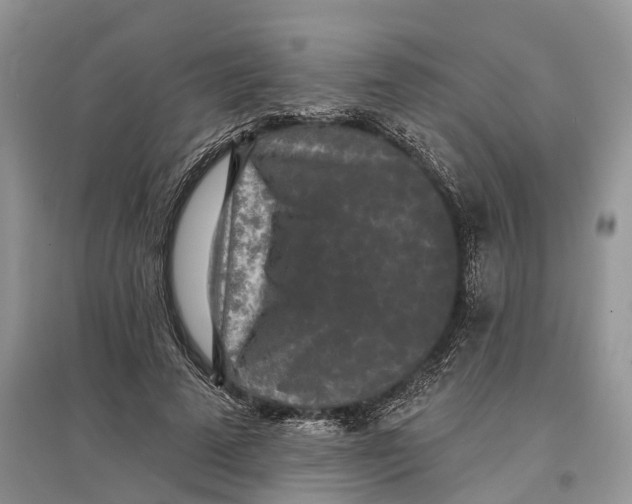 X0000097290689200803071732