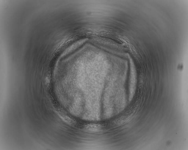 X0000097290691200803071732