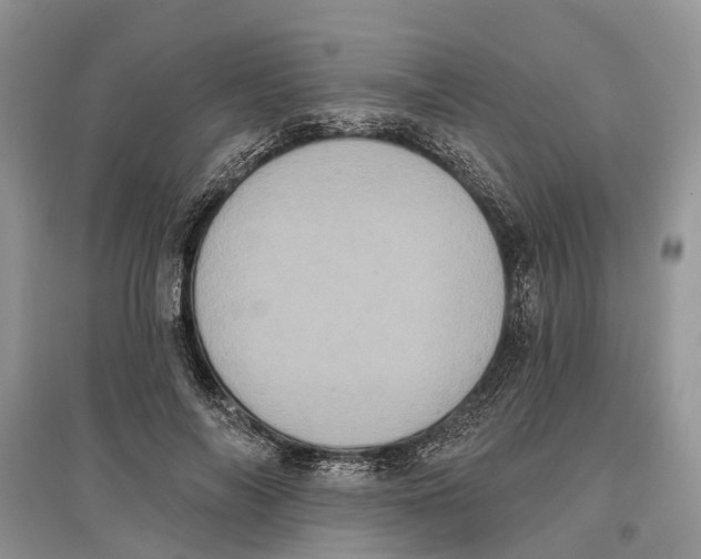 X0000097290694200803071732