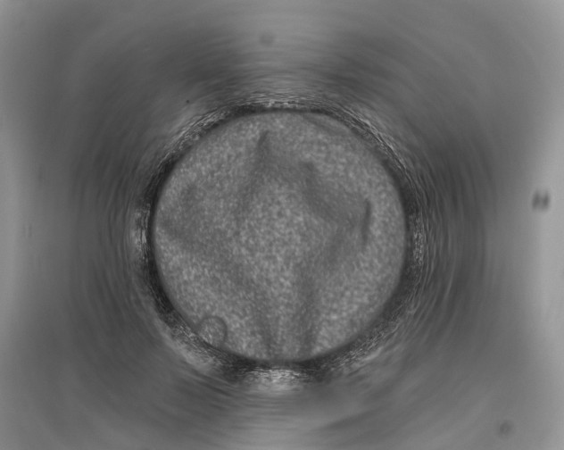 X0000097290695200803071732