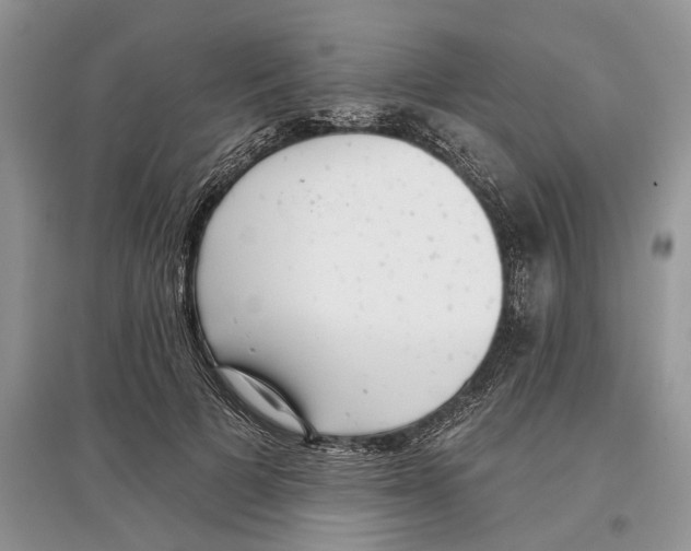 X0000097290697200803071732