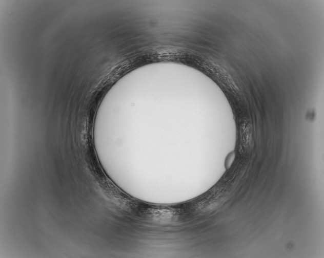 X0000097290698200803071732