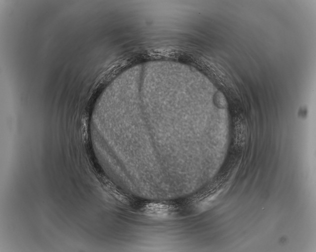 X0000097290699200803071732