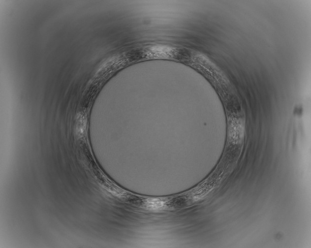 X0000097290701200803071732