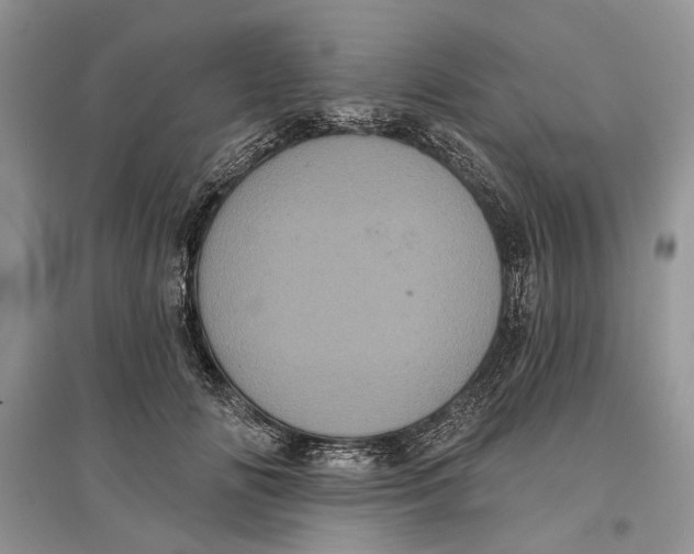 X0000097290702200803071732