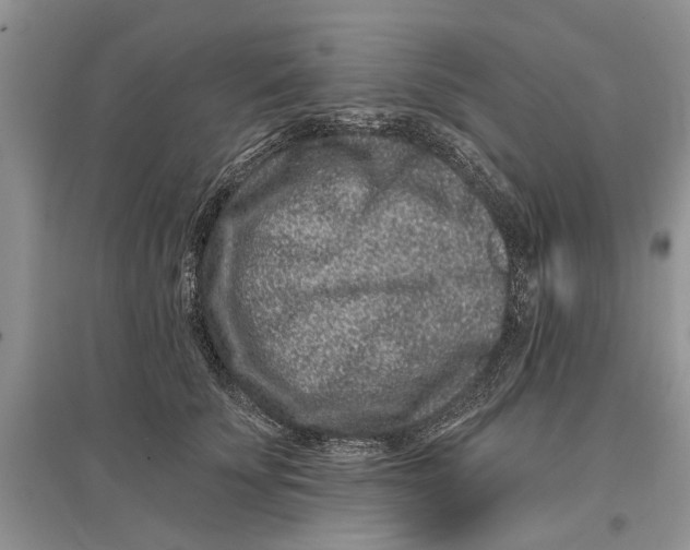 X0000097290707200803071732