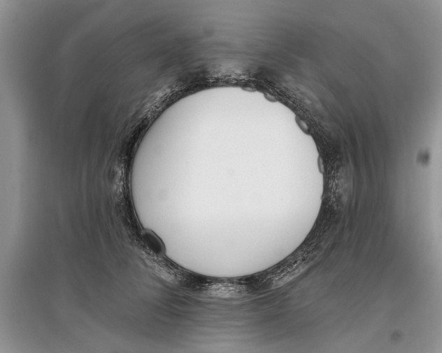 X0000097290708200803071732