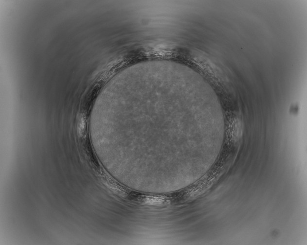 X0000097290709200803071732