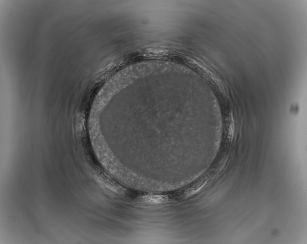 X0000097290711200803071732