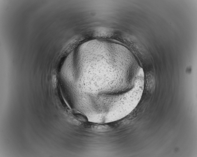 X0000097290716200803071732