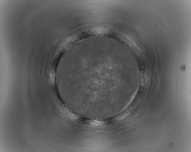 X0000097290718200803071732