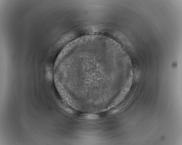 X0000097290719200803071732