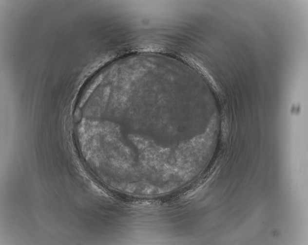 X0000097290721200803071731