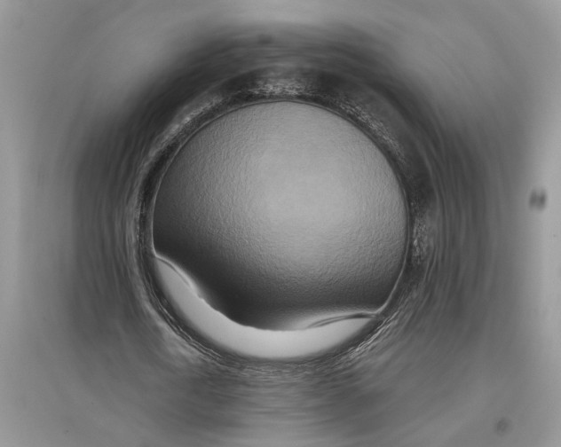 X0000097290722200803071731